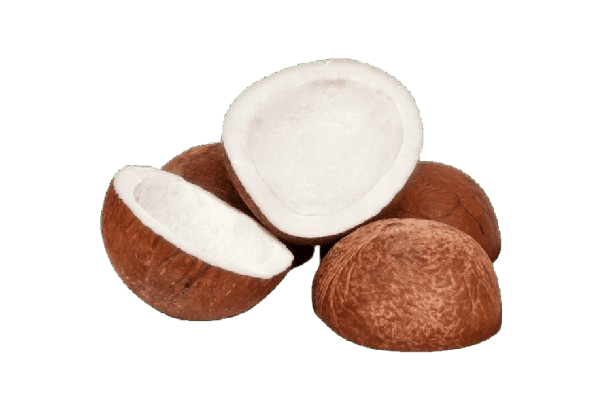 Edible copra