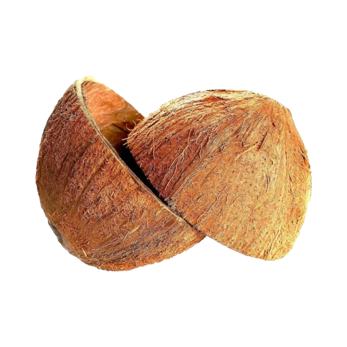 Coconut shell